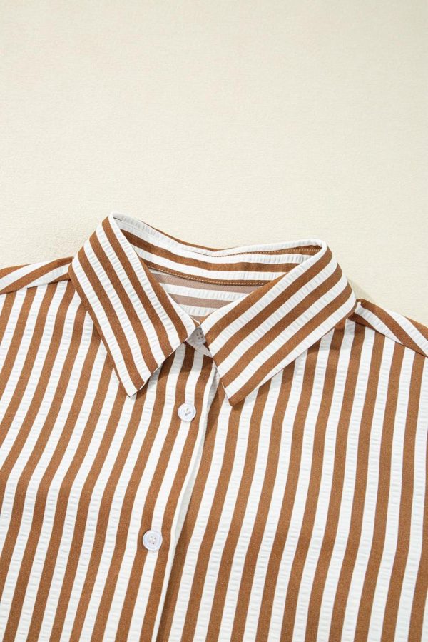 Women Brown Stripe Ruffle Hem Collared Long Sleeve Shirt Mini Dress | Short Dresses - Image 3