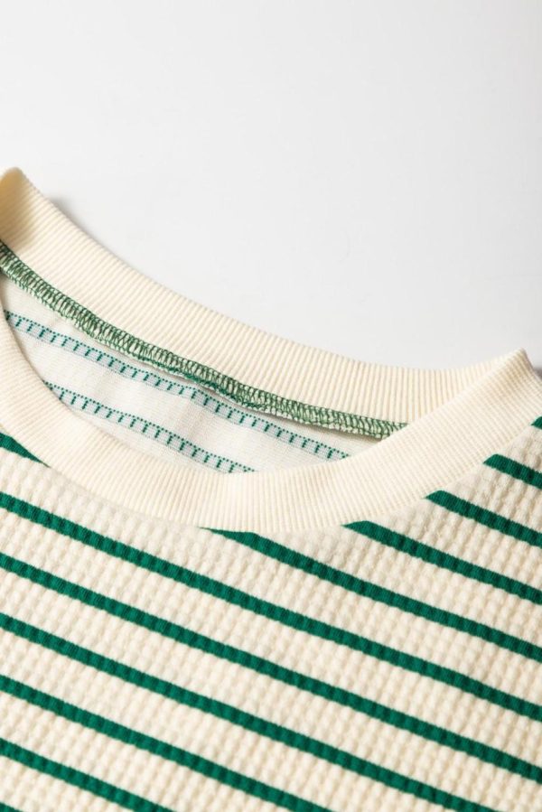 Women Green Stripe Woven Ruffled Sleeveless Mini Dress | Short Dresses - Image 3